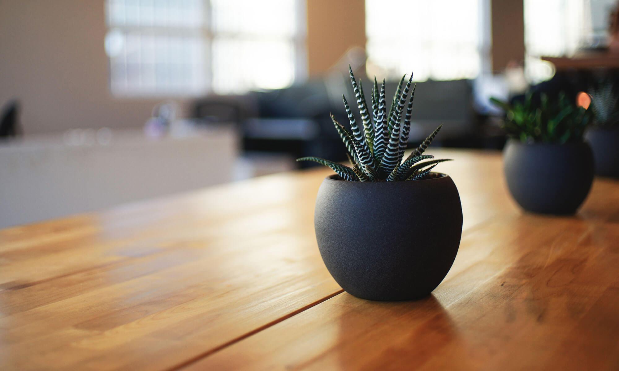 ECOPLANT.FR